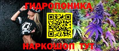 apvp Лесосибирск